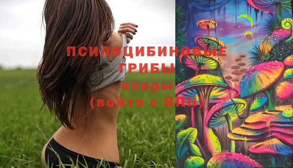 стафф Мегион