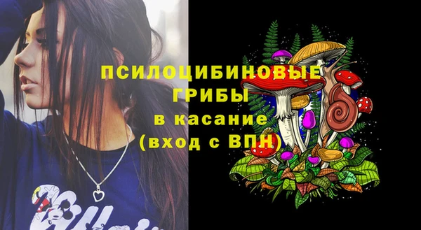 мяу мяу мука Михайловск