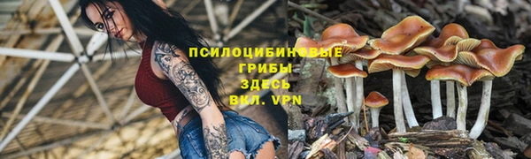 стафф Мегион