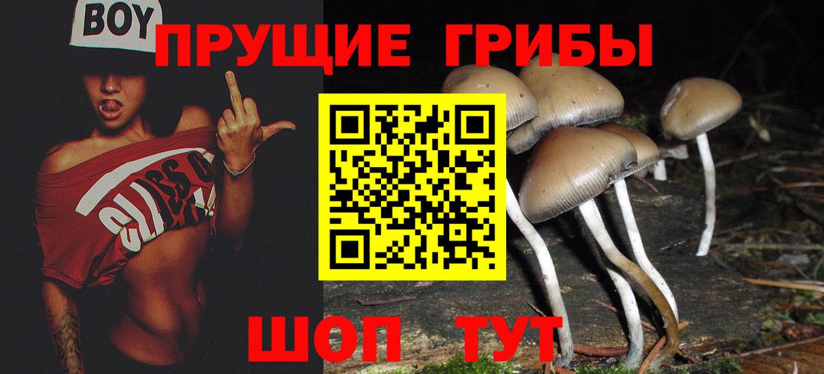 Псилоцибиновые грибы Magic Shrooms  Вход с VPN  Галлюциногенные грибы MAGIC MUSHROOMS  Нарьян-Мар 